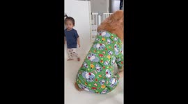 Affectionate baby hugs pet dog