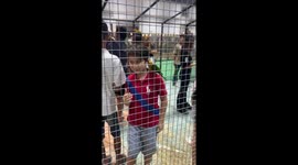 Sun conure bites boy’s ear inside enclosure