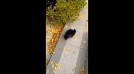 When the Stairs Betray You 