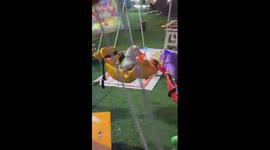 Shiba Inu Takes a Solo Carousel Ride 