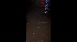 DRC: Torrential Rain Submerges Roads in Kinshasa