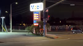 US, Los Angeles: Westchester Pursuit Comes To An End