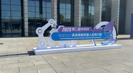 China: 2025 Zhongguancun robot finals conclude in Beijing with strong turnout from universities, industry