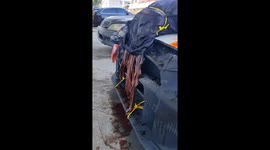 Halloween Mitsubishi Lancer