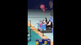 Mascot shows impressive dance skills at event in Guangdong, China