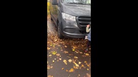 Clever Boy Knows Every Car Brand