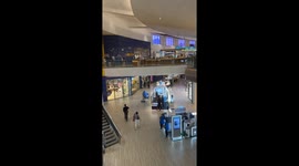 Shark Mascot Dances for Passers-By