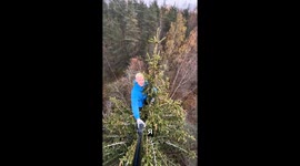 Russian man climbs giant tree as part of cold-water challenge—viral Instagram clip hits 340K views