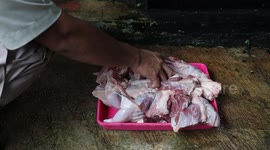 Indonesia: Feeding Tiger at Ragunan Zoo, Jakarta