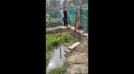 Woman slips while avoiding puddles in Zhejiang, China