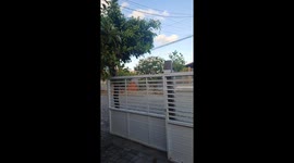 A Wild Bird Showed Me His Catch