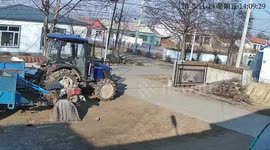 Wild boars collide with tricycle and cause damage in Hebei, China