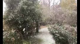 Continuous snowfall blankets Guildford, England