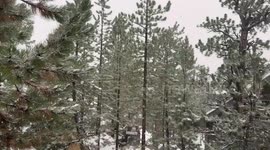 Snowfall covering the landscape in the Spring Mountains, Nevada, USA