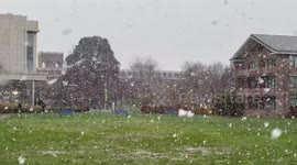 Heavy snowfall transforms Whiteknights Campus in Reading, UK