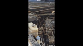 Snake pulled from car engine in tense roadside moment in Tripoli, Libya