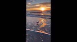 Breathtaking sunrise at Surfside Beach, South Carolina, USA