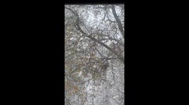 Snow day in the Highlands at Lairg, Scotland, UK