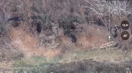 Russia says it used FPV drones to atack Ukrainian trenches in Zaporizhzhia