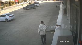 Shopkeeper tries to scare off stray dog that keeps fouling his doorway but ends up flat on his face instead