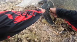 Beachgoer uses broken glass to rescue two turtles tangled in discarded net