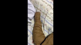 Guess What's Wiggling in My Sleeve? 