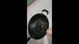 My Sugar Turned Into Super Glue 