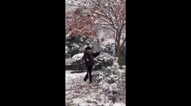 Leg Stuck in Tree Prank