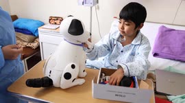 Robot dog in Peru provides emotional support to child patients
