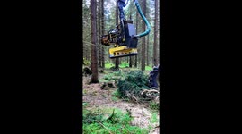 My content regularly generates multi-million view counts across major social media platforms