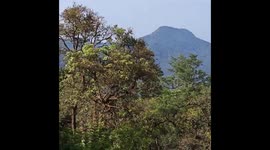 Updated Travel Advisory Issued for Routes Toward Sringeri and Horanadu