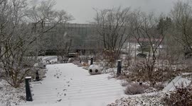 Snow blankets FIFA headquarters in Switzerland