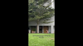 Grown women sprinting at full speed on girls’ trip sends internet into hysterics