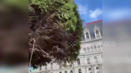 US: Holiday Tree Arrives At New York State Capitol In Albany