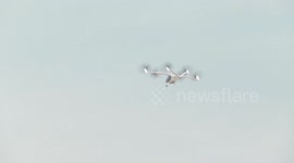 UAE: 'Flying taxi' offers glimpse of future aerial transportation at Dubai Airshow