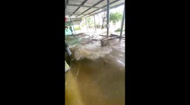 Unprecedented historic flooding in south central Vietnam has left more than 67,000 houses submerged between one and three meter