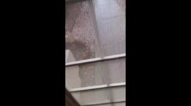Hailstorm hits front yard during bright daylight in Las Vegas, USA