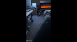 Dog sits upright in unusual posture in Wolverhampton, UK