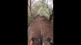 Mountain bikers navigate narrow cliffside trail in Funchal, Portugal