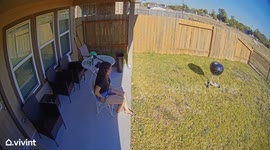 Neighbor's Dog Jumped My Fence