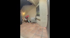 Trick-or-Treaters Follow Instruction to a T