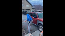 Cinnamon Black Bear Released From Big Sky Car