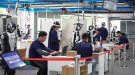 China: Humanoid robots receive training at China's largest base for future application