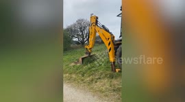 Scientists dig up two-tonne whale head found on Cornwall beach in 10-hour mission