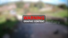 Amazon slammed after driver runs over family dog and sends £25 bed as apology