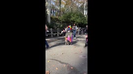 Pup Attends Halloween As House From Up