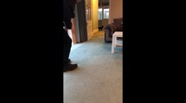 Old Blind Dog Runs Into Owner