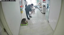 Husband loses balance and slips on floor while playfully tossing pet cat