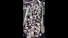 Samoyed lovers congregate on steps with their beloved fluffy pet dogs