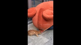 Mascot and cat playfully fight over food in Jiangsu, China